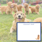 Dog lover stationery Golden Retriever illustration